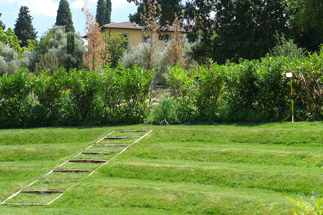 Design of olive grove in the hills above Florence