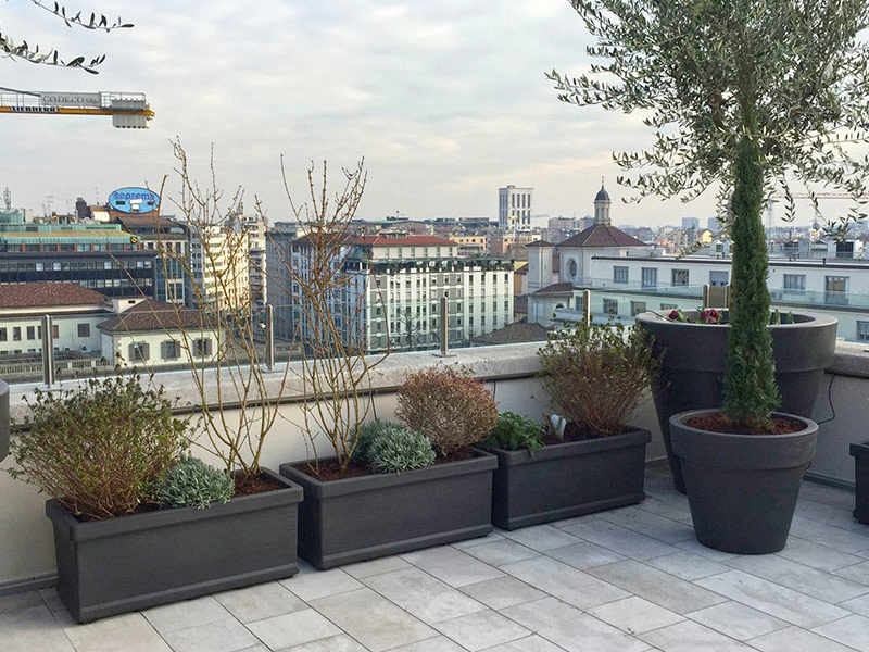 Execution of roof garden in downtown Milan