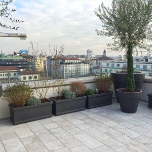 Milano, progetto terrazzo fiorito