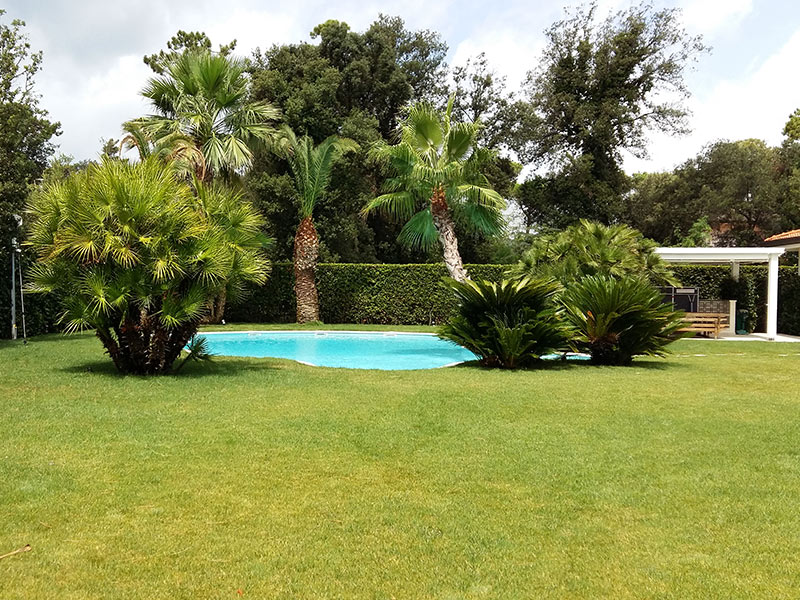 Realizzazione e manutenzione di giardino privato a forte dei marmi Sistemazione giardini privati