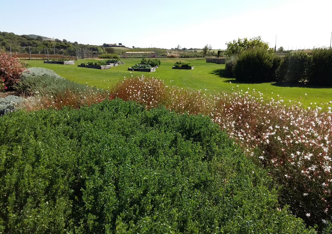 giardino-a-pescia-fiorentina-bordure-fiorite